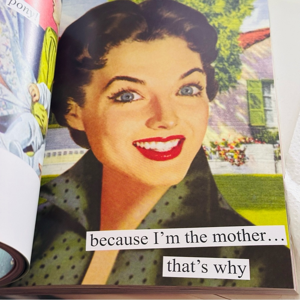 NEW Someone Has To Set A Bad Example An Anne Taintor Collection Paperback Book - Picture 9 of 15